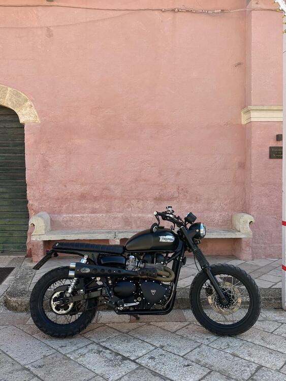 Triumph Scrambler 900 (2023 - 25)