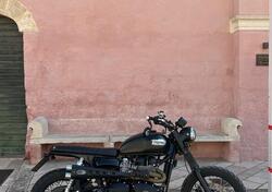 Triumph Scrambler 900 (2023 - 25) usata