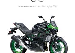 Kawasaki Z 500 SE (2024 - 25) nuova