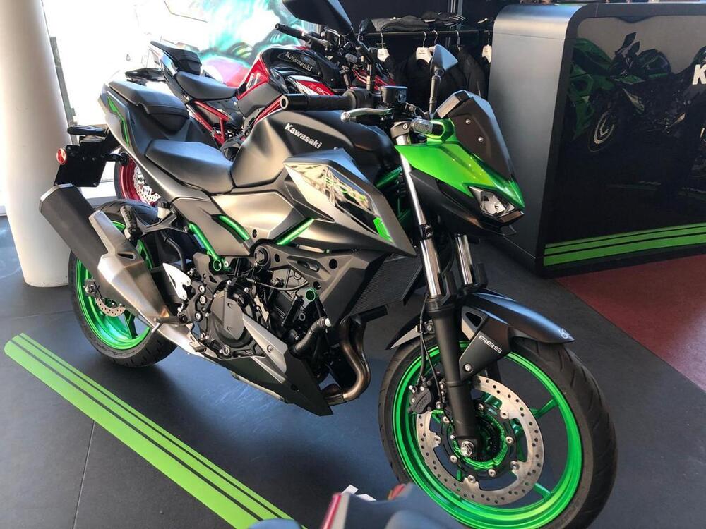 Kawasaki Z 500 SE (2024 - 25) (5)