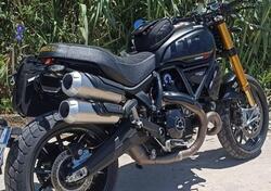 Ducati Scrambler 1100 Sport Pro (2020 - 25) usata