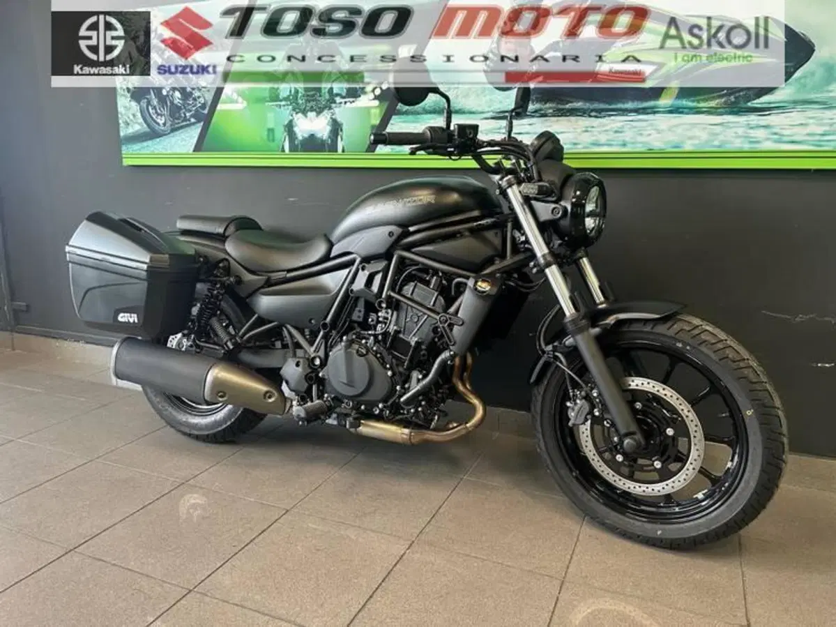Kawasaki Eliminator 500 (2024 - 26) (7)