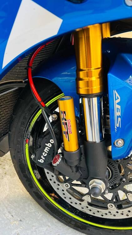 Suzuki GSX R 1000 R (2017 - 18) (3)