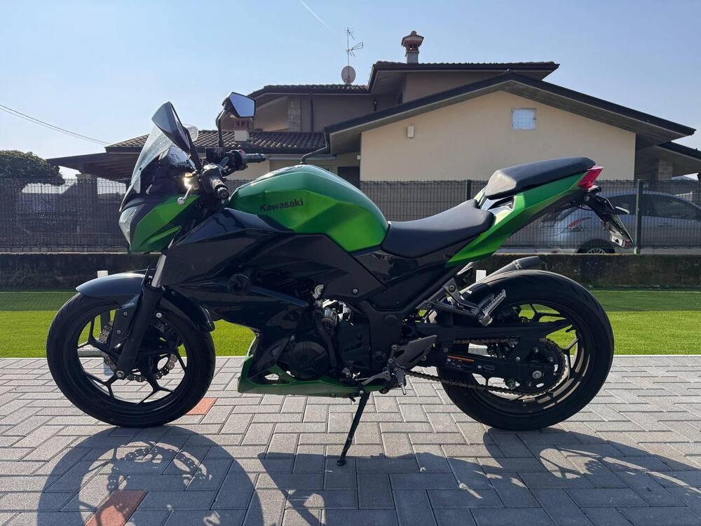 Kawasaki Z 300 ABS (2015 - 16) (2)