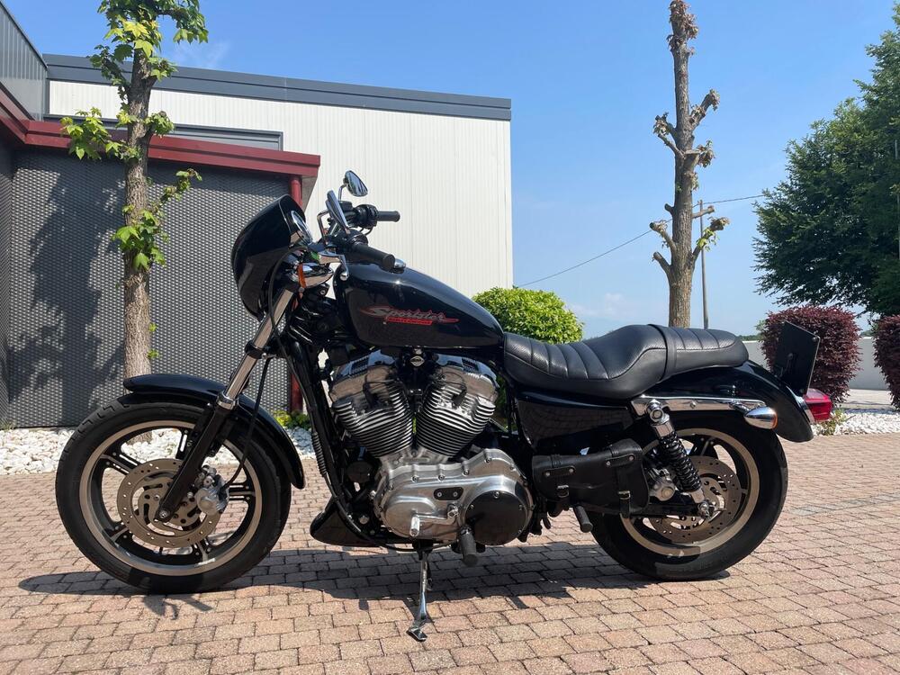 Harley-Davidson 883 Low (2005) - XL 883L