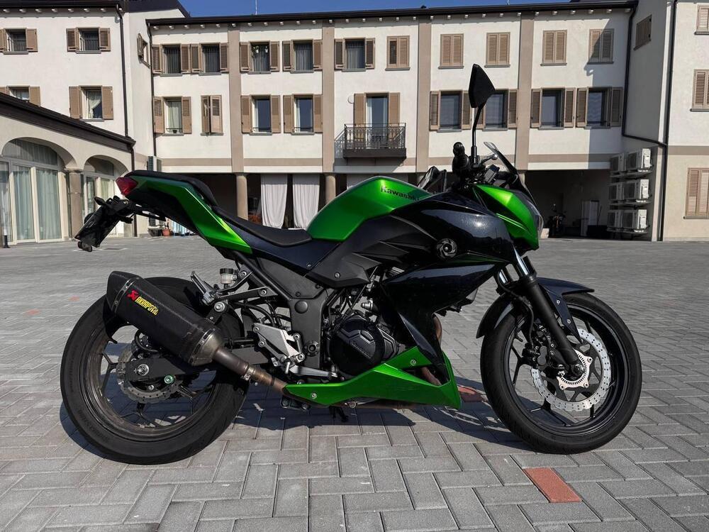 Kawasaki Z 300 ABS (2015 - 16)