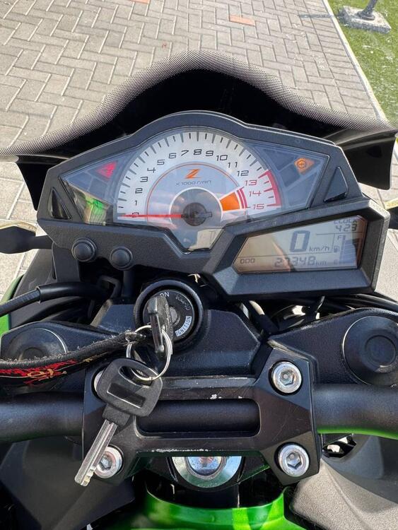 Kawasaki Z 300 ABS (2015 - 16) (3)