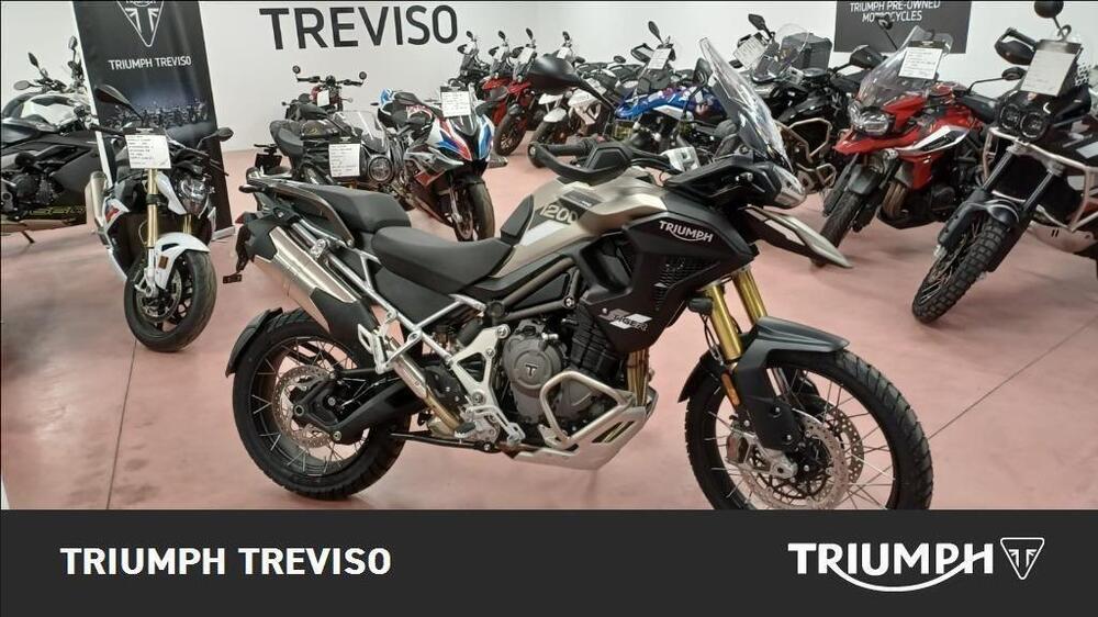 Triumph Tiger 1200 Rally Pro (2024 - 25)