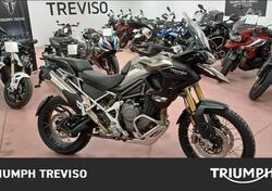 Triumph Tiger 1200 Rally Pro (2024 - 25) usata