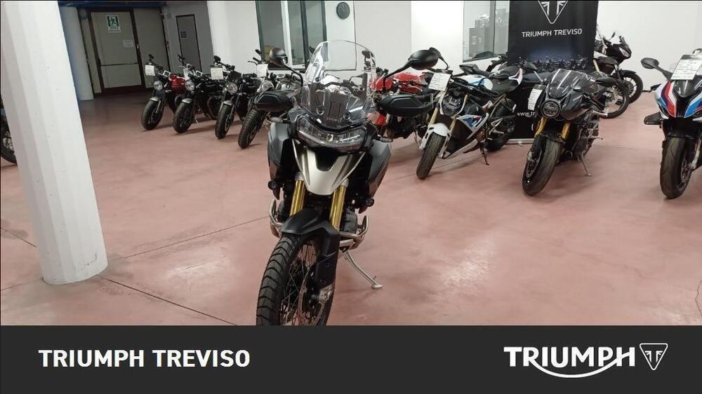 Triumph Tiger 1200 Rally Pro (2024 - 25) (4)