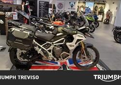 Triumph Tiger 1200 Rally Pro (2024 - 25) usata