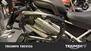 Triumph Tiger 1200 Rally Pro (2024 - 25) (7)