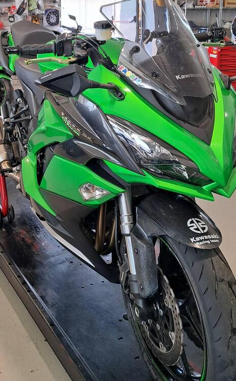 Kawasaki Z 1000 SX Tourer (2017 - 20) (2)