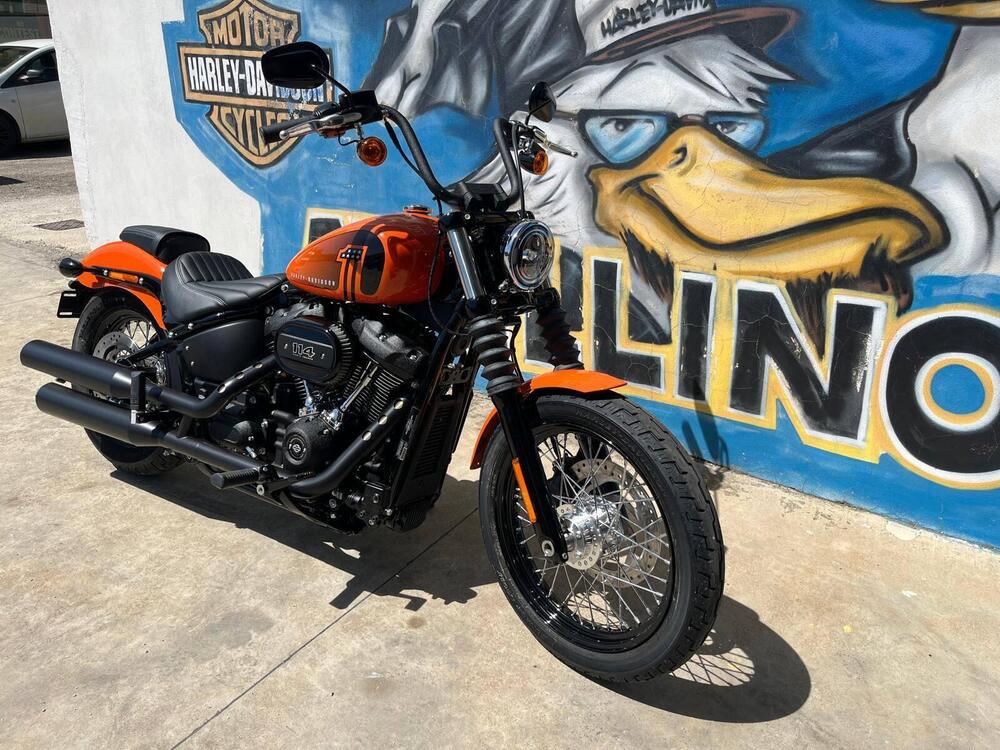 Harley-Davidson Street Bob 114 (2021 - 24)