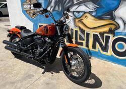 Harley-Davidson Street Bob 114 (2021 - 24) nuova