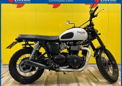 Triumph Scrambler (2006 - 17) usata