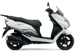 Suzuki Burgman Street 125 Executive (2023 - 25) nuova