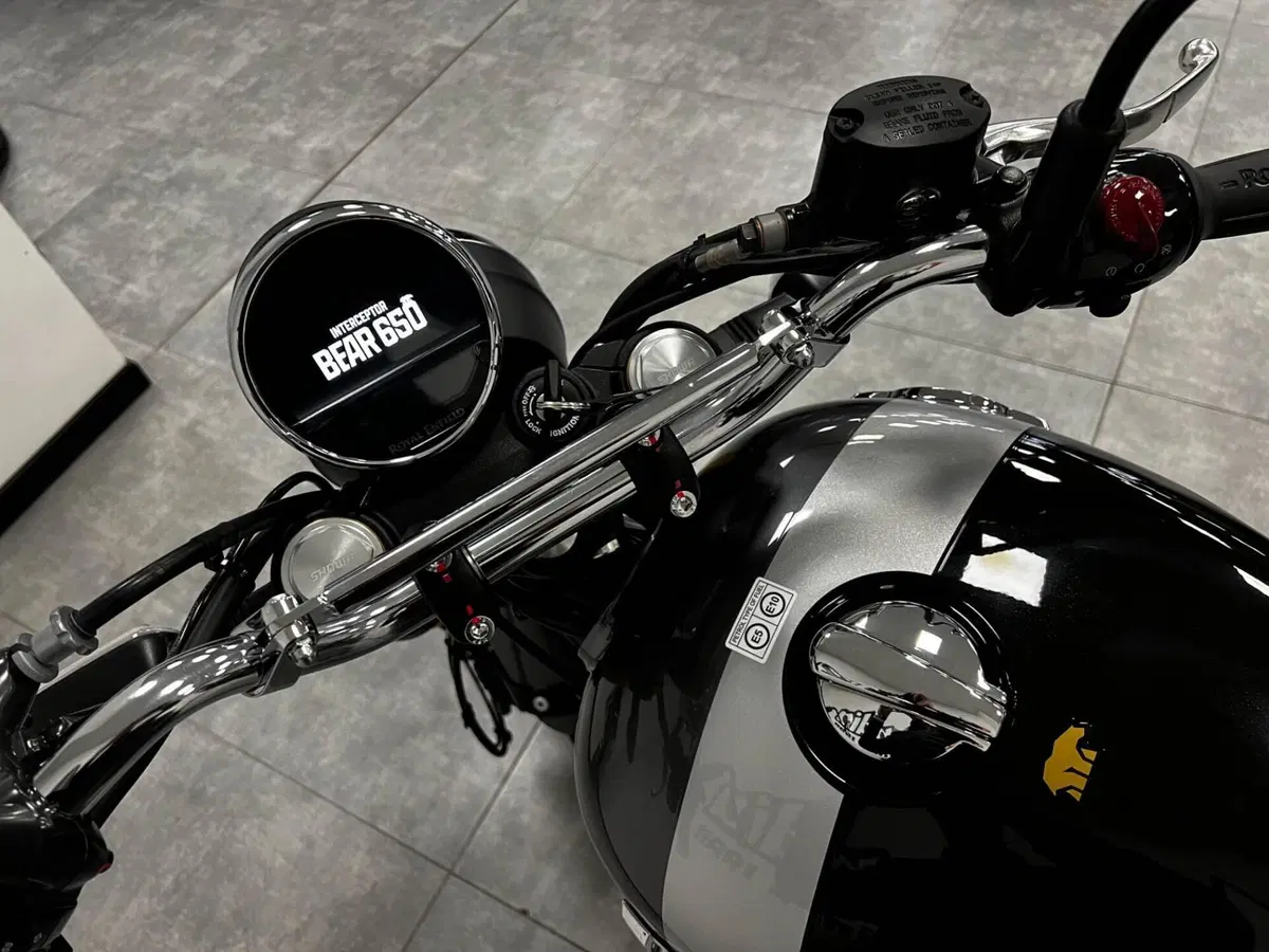 Royal Enfield Bear 650 (2025 - 26) (4)