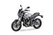 Voge Trofeo 300ACX Scrambler (2021 - 25) (7)