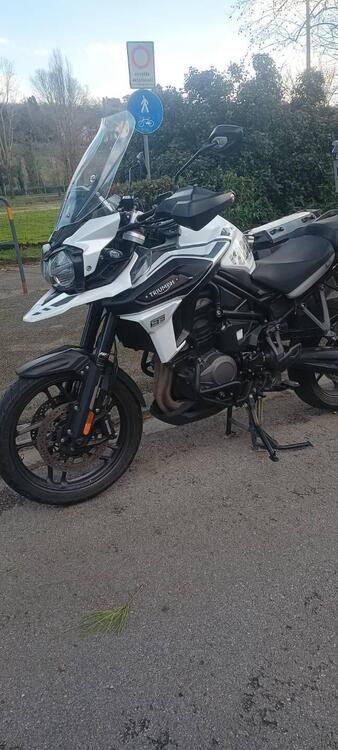 Triumph Tiger 1200 Alpine Edition (2020) (2)