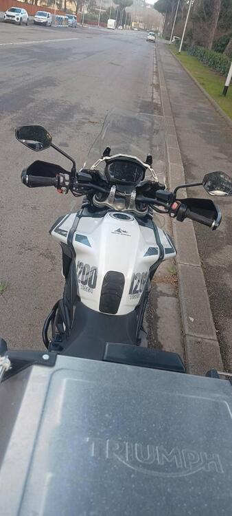 Triumph Tiger 1200 Alpine Edition (2020) (4)