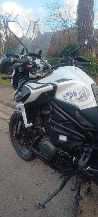 Triumph Tiger 1200 Alpine Edition (2020) (5)