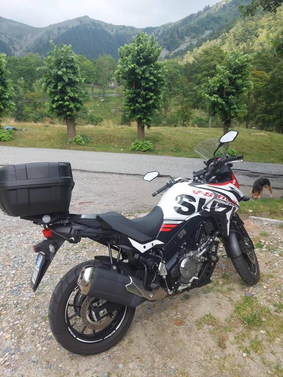 Suzuki V-Strom 650 (2021 - 25) (3)