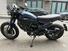 Ducati Scrambler 800 Nightshift (2023 - 25) (7)