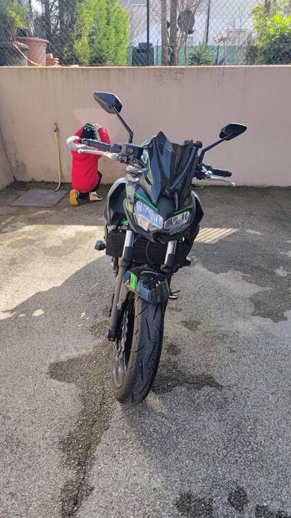 Kawasaki Z 650 (2021 - 24) (3)