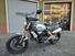 Ducati Scrambler 1100 (2018 - 20) (6)