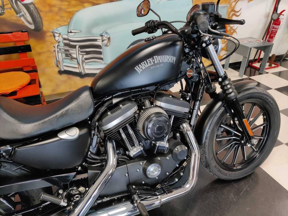 Harley-Davidson 883 Iron (2014 - 16) - XL 883N (3)