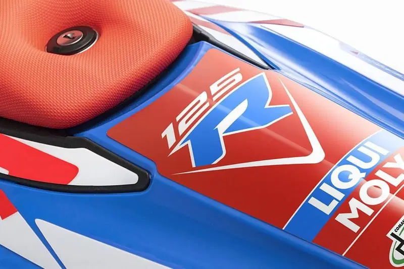 Betamotor RR 125 4T Motard R (2023 - 24) (10)