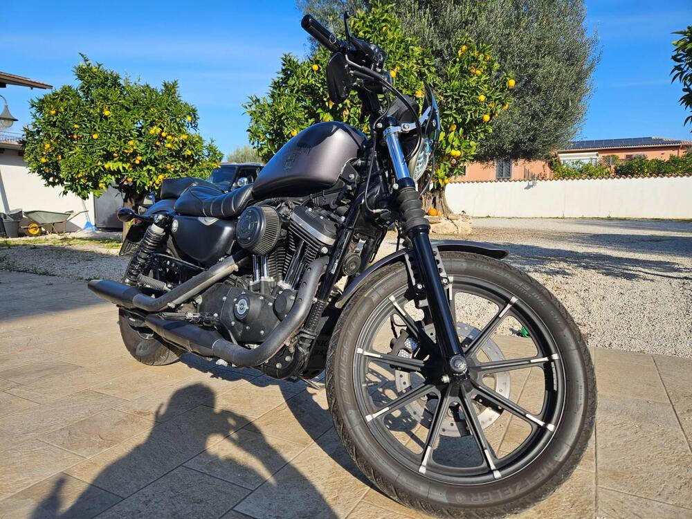 Harley-Davidson 883 Iron (2017 - 20) - XL 883N