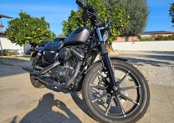 Harley-Davidson 883 Iron (2017 - 20) - XL 883N usata