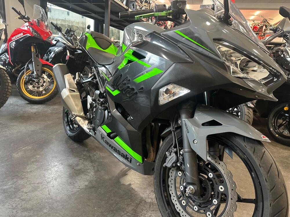 Kawasaki Ninja 400 (2018 - 20) (2)