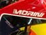 Moto Morini X-Cape 650 Gold Wheels Edition (2022 - 25) (6)