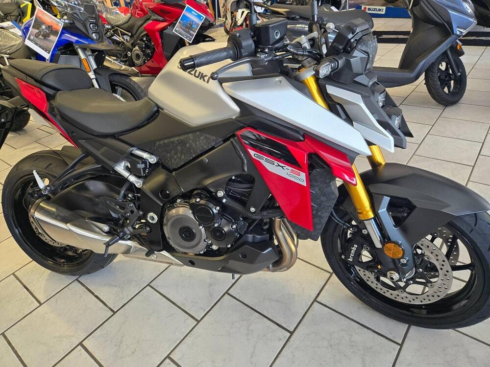 Suzuki GSX-S1000 (2021 - 25) (2)