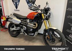 Triumph Scrambler 1200 XE (2024 - 25) usata