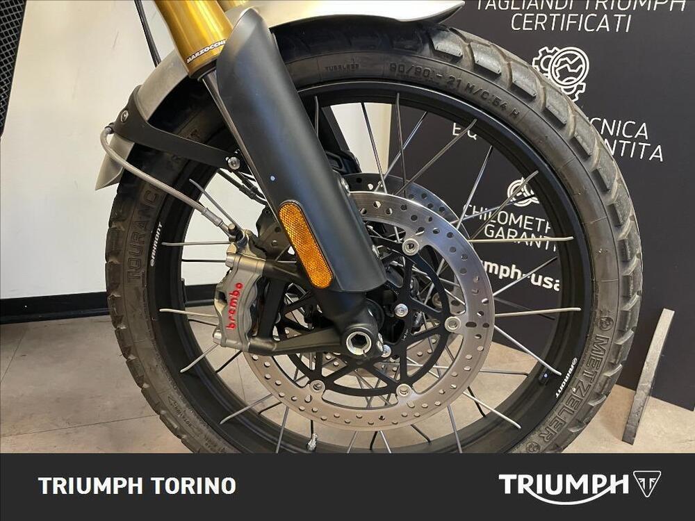 Triumph Scrambler 1200 XE (2024 - 25) (2)