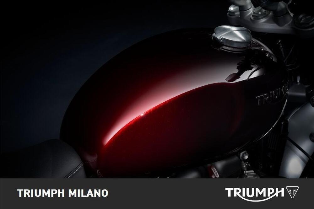 Triumph Speed Twin 1200 Stealth Edition (2024) (3)