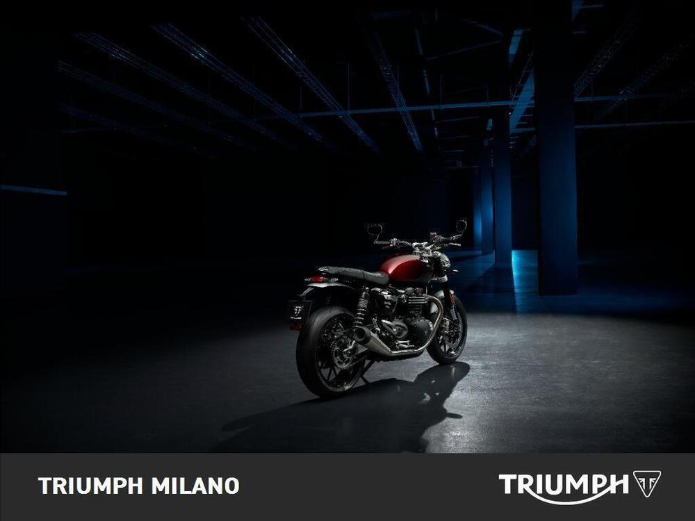 Triumph Speed Twin 1200 Stealth Edition (2024) (2)