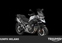 Triumph Tiger 1200 GT Pro (2024 - 25) nuova