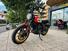 Ducati Scrambler 800 Icon (2015 - 16) (6)