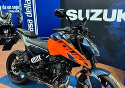 KTM 125 Duke (2024 - 25) usata