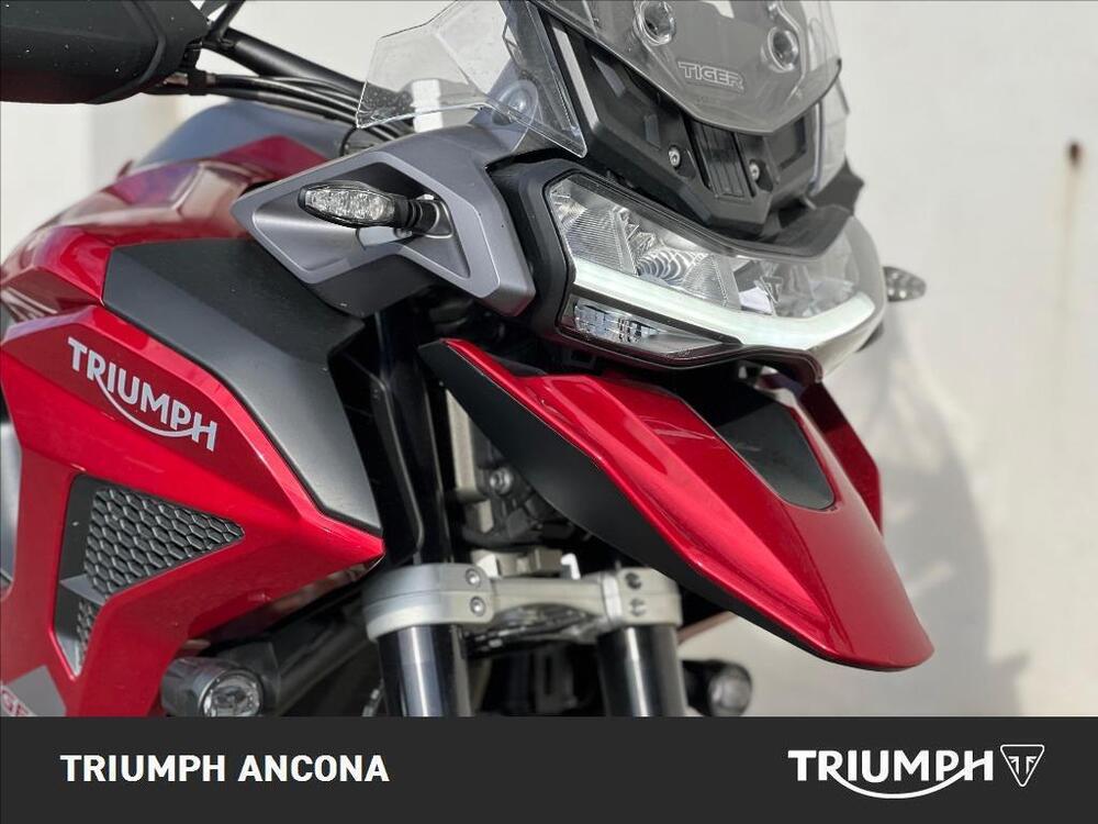 Triumph Tiger 1200 GT Pro (2024 - 25) (3)