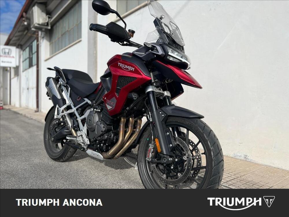 Triumph Tiger 1200 GT Pro (2024 - 25)