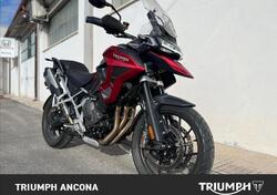 Triumph Tiger 1200 GT Pro (2024 - 25) usata