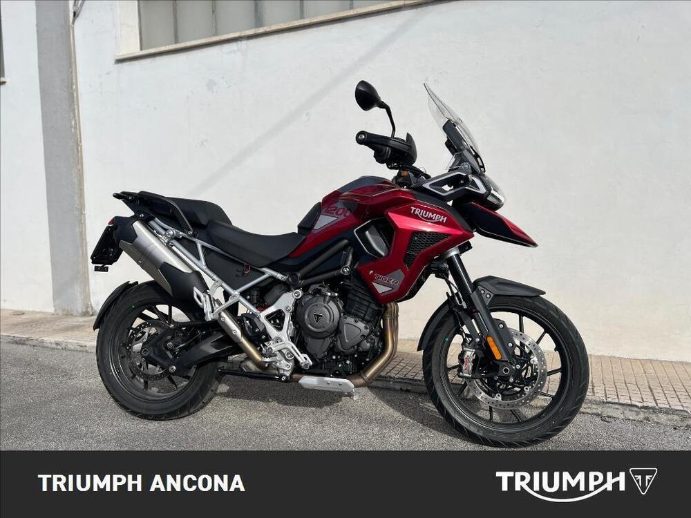 Triumph Tiger 1200 GT Pro (2024 - 25) (4)