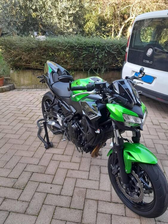 Kawasaki Z 650 (2020) (3)