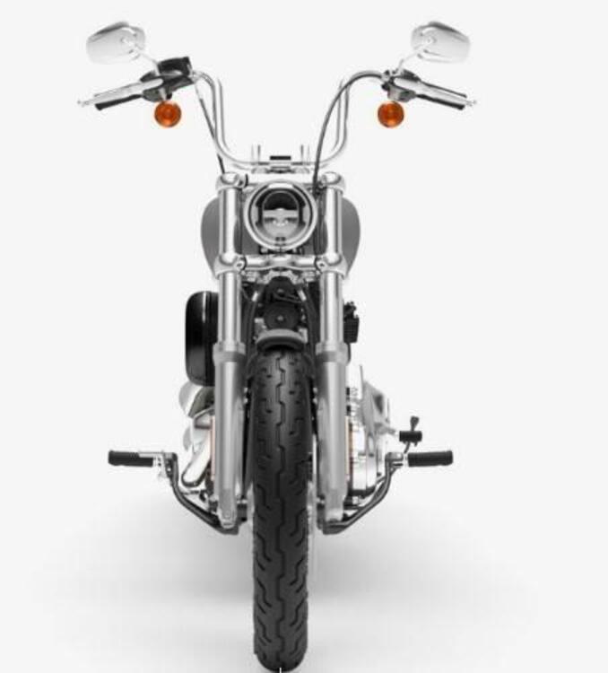 Harley-Davidson Softail Standard (2021 - 25) (4)